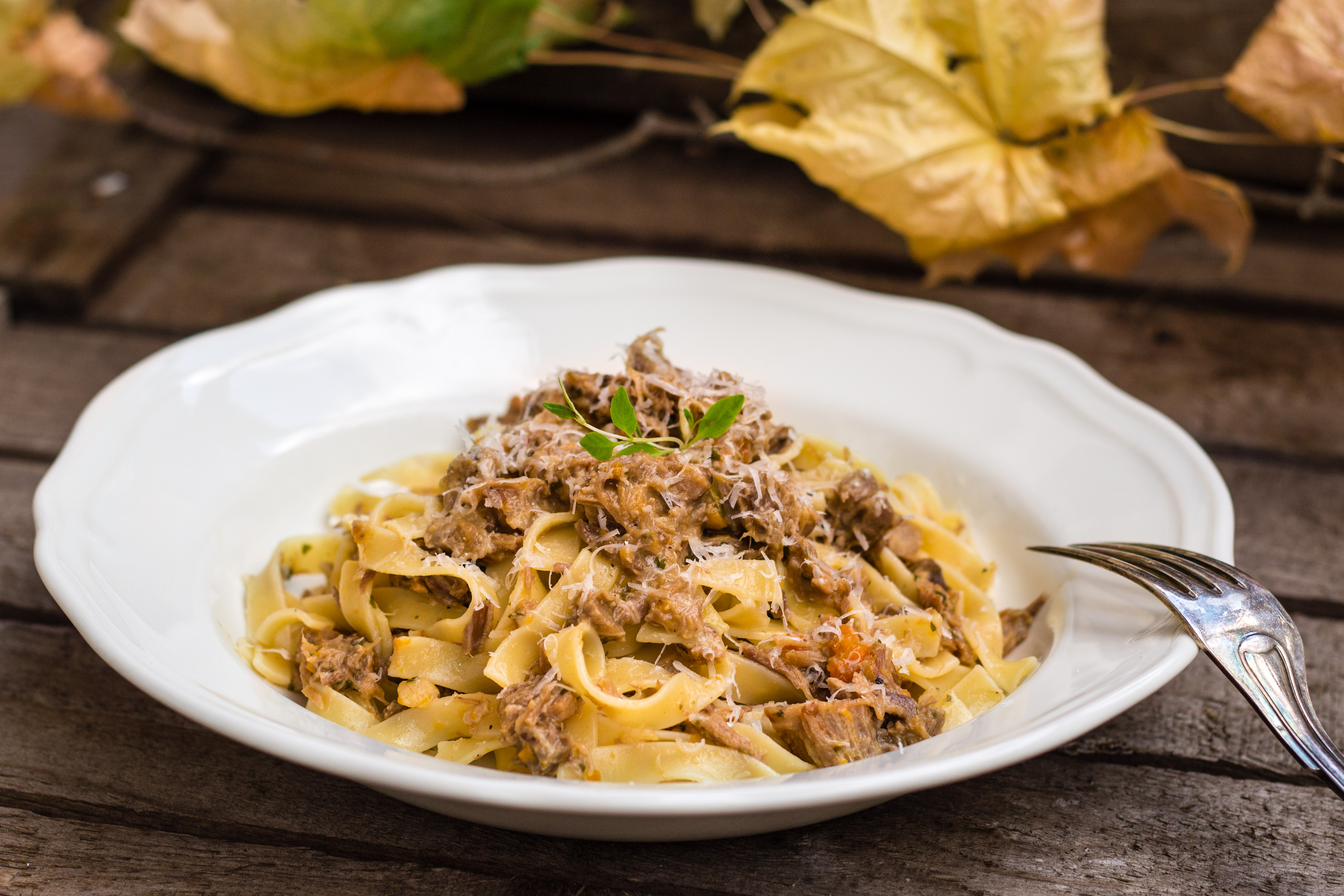 Pasta med vildsvinsragu